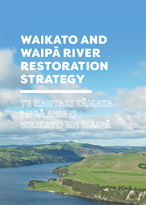 Image - cover of strategy